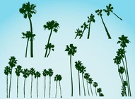Palm Trees Vectors