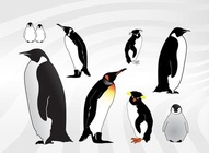 Penguin Illustrations