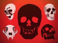 Skulls Vectors Graphics