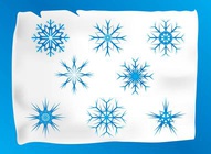 Vector Snow Icons