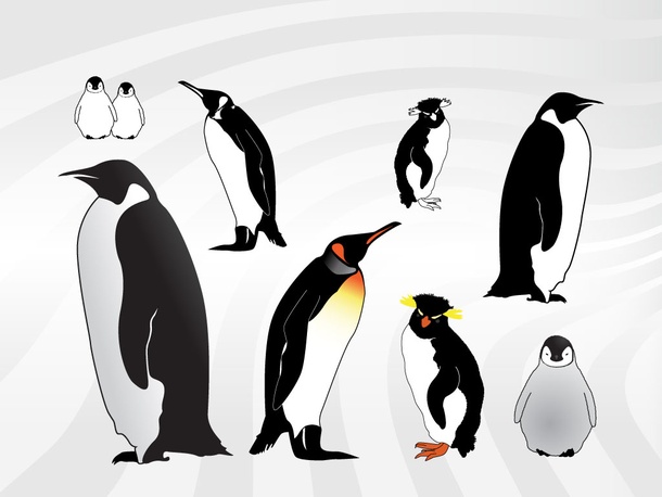 Penguin Illustrations