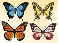 Colorful Butterfly Vector Set