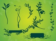 Vine Plant Graphics