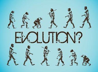 Evolution Graphics