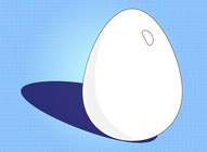 Egg Vector