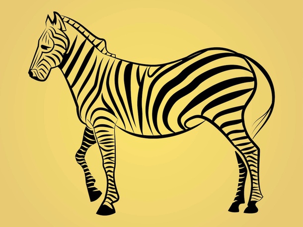 Zebra Image