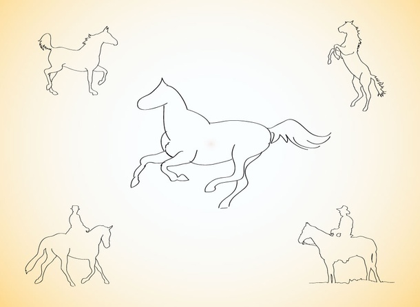 Horse Sketches