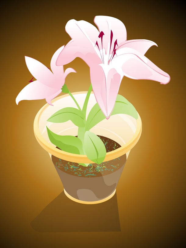 Orchid Vector