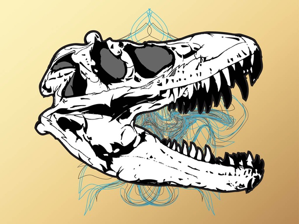 Skull Graphics