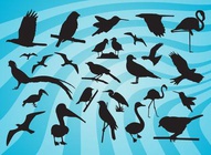 Bird Silhouette Vectors