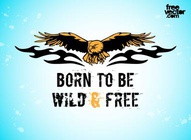 Eagle Freedom Tattoo