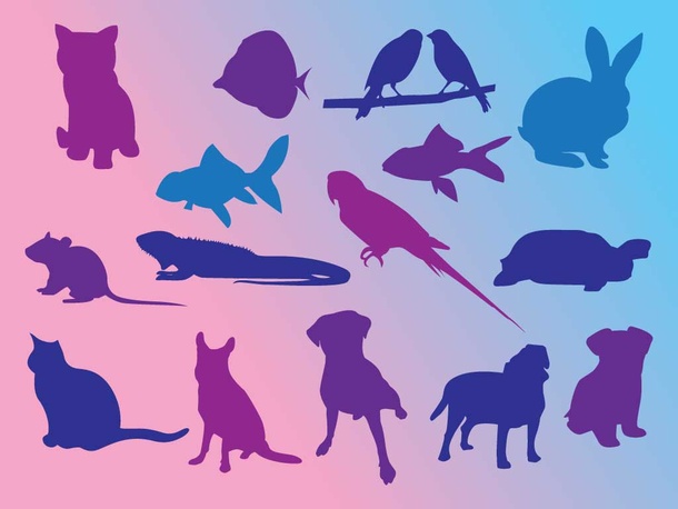 Pet Silhouettes