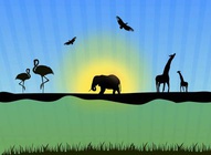 Wildlife Vector