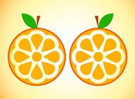 Orange Slice Icon