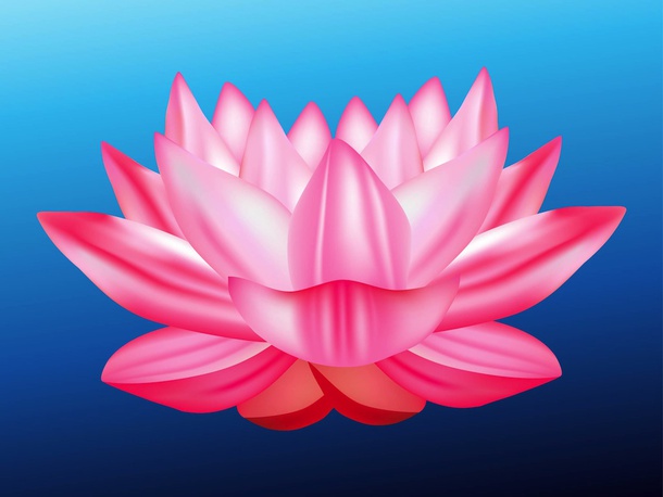 lotus flower images clipart - photo #22