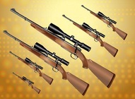 Hunting Rifle