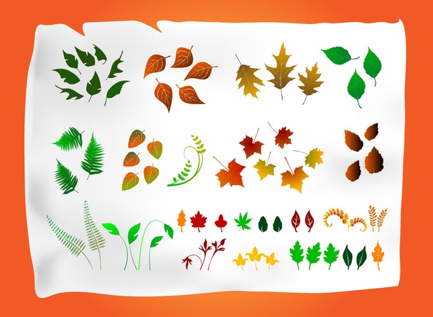 Vector Leaf Assortment