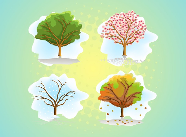 Tree Seasons Graphics