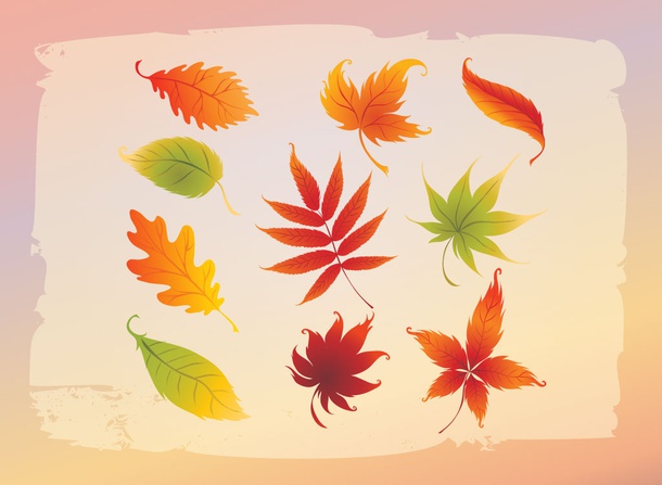 Free Vector Leaves