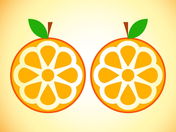 Orange Slice Icon