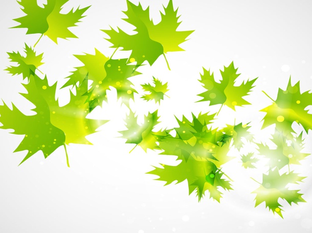 Maple Leaf Vectors