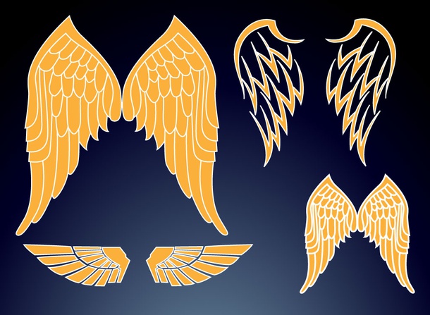 Wings Designs