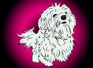 Cute Vector Puppy