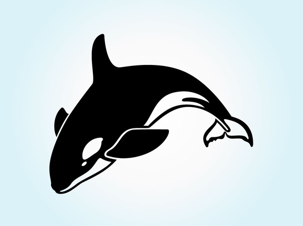 Jumping Orca