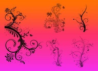 Flowers Vector Graphics