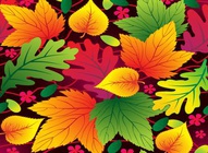 Autumn Leaves Vector Art