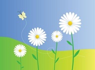 Daisy Flowers Vector