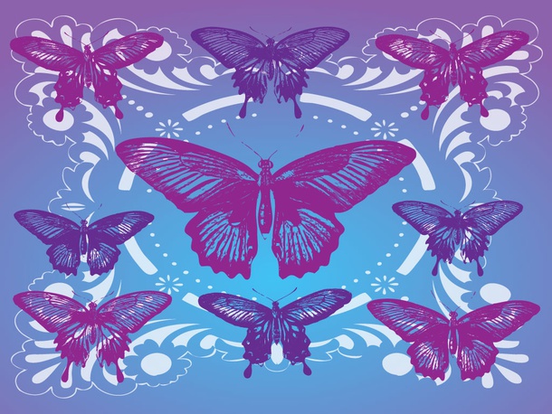 Butterfly Pattern