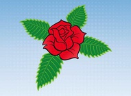 Romantic Rose Vector