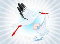 Stork With Baby