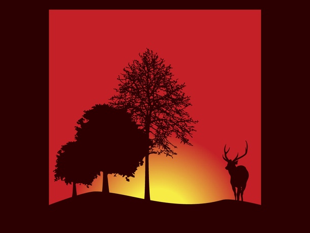 Deer Sunset