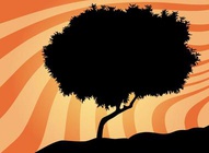 Hilltop Tree Silhouette