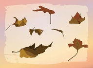 Natural Leaf Graphics