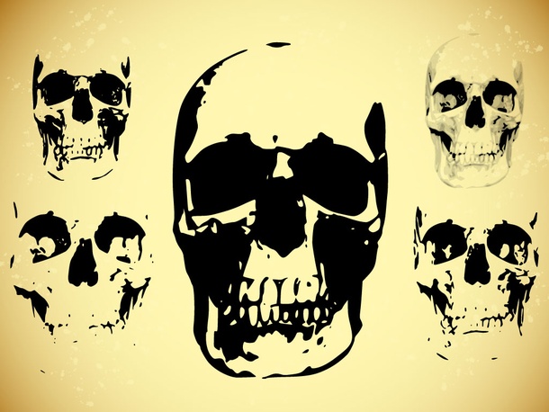 Skull Vector Pack