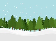 Pine Trees Snow