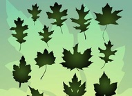 Vector Leaf Bundle