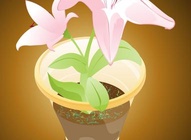 Orchid Vector