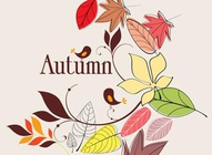 Autumn Nature Background