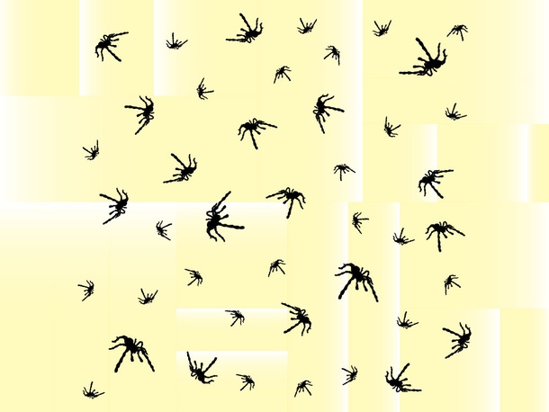Spider Background Pattern