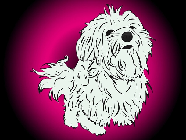 Cute Vector Puppy