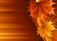 Autumn Leaves Design