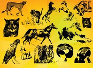 Animals Vectors Set