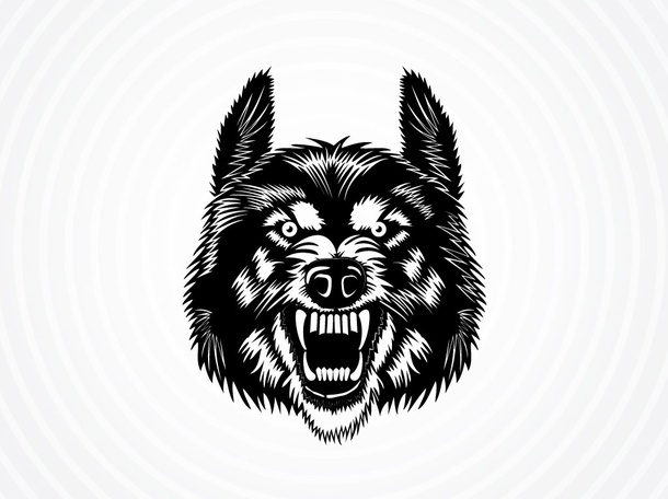 Fierce Wolf Graphic