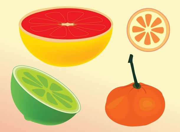 Citrus Vectors