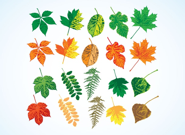 Leaf Designs