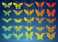 Colorful Butterfly Collection